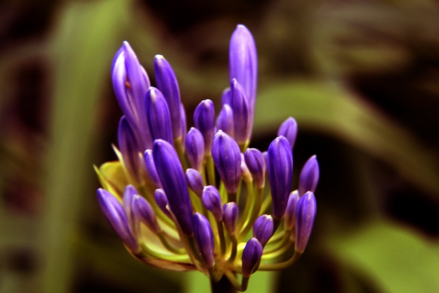 吐槽当地的 吐槽当地的