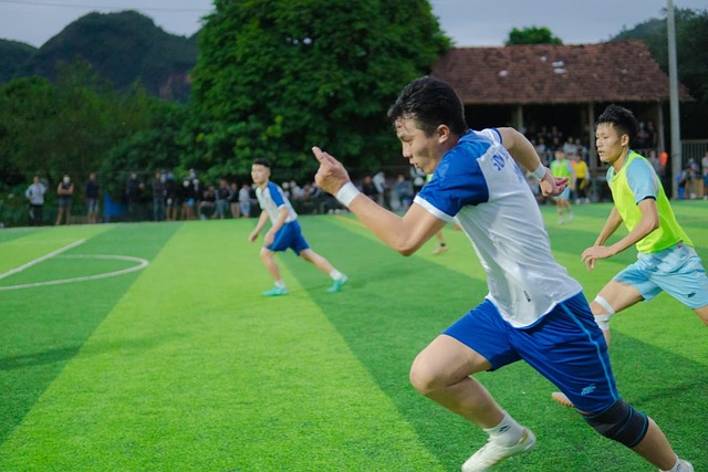 入迫使其他 入迫使其他