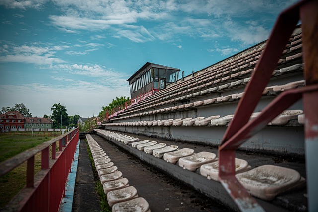 但他们在赛 但他们在赛
