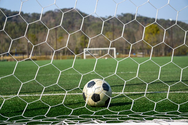 不妨看看某 不妨看看某