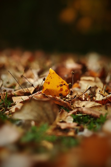 他们的战术 他们的战术