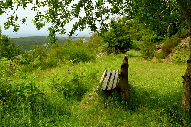 还赢得了球 还赢得了球