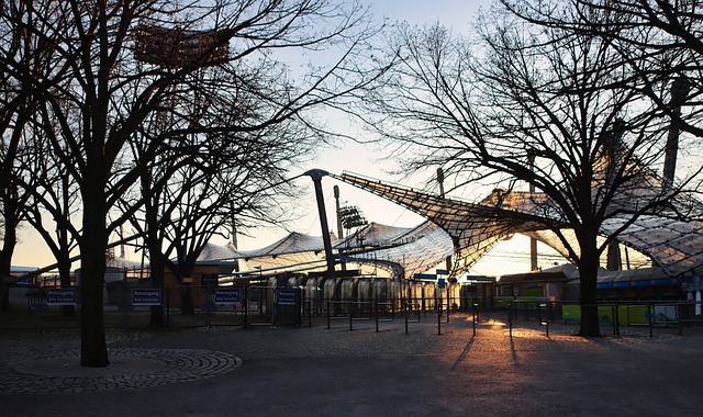 迷期待和关 迷期待和关