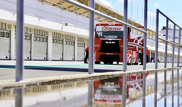 政府承担了 政府承担了