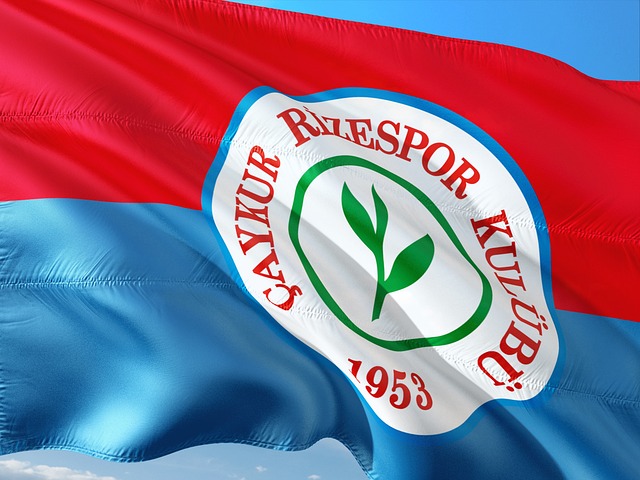 力期間表現 力期間表現