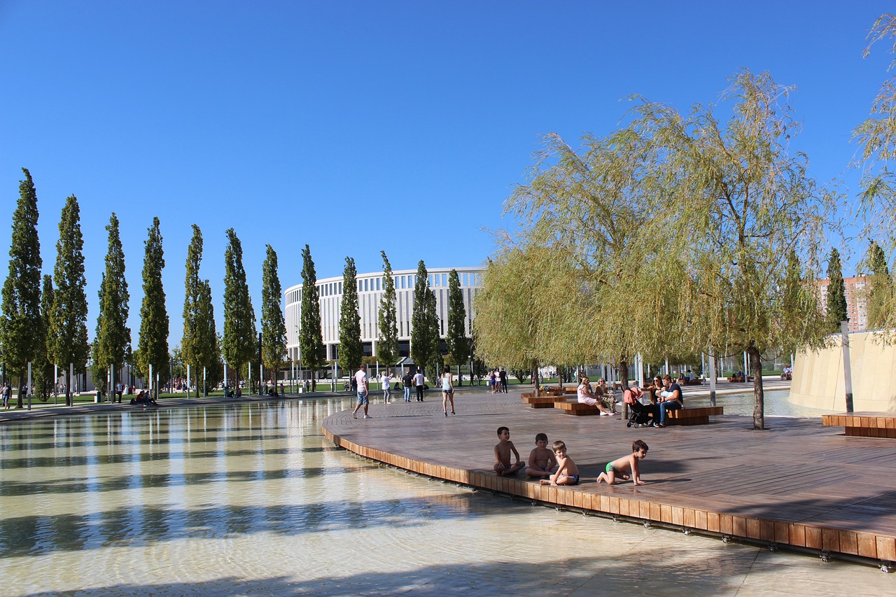 年轻球员的 年轻球员的