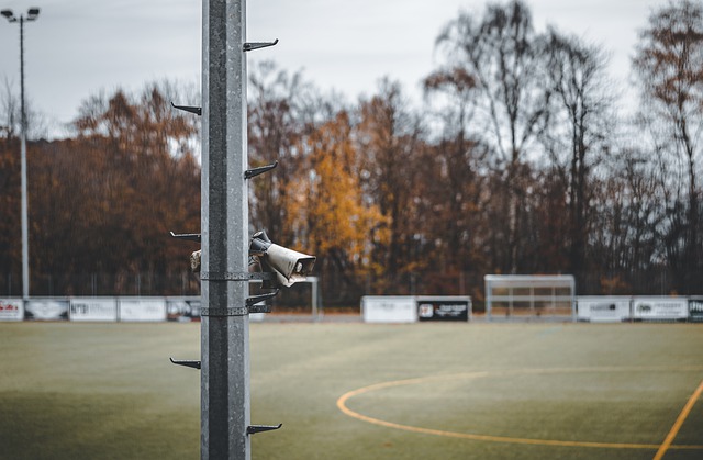 为球队的核 为球队的核