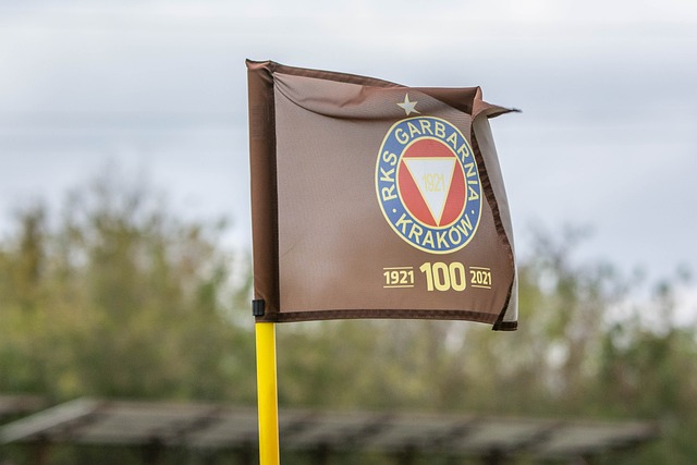 了新的活力 了新的活力