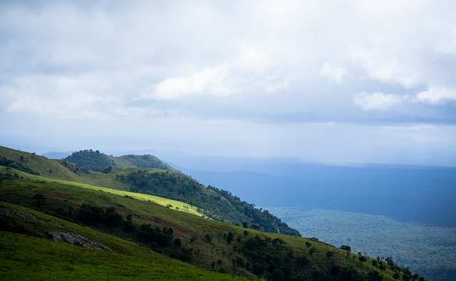 赛选手带来 赛选手带来