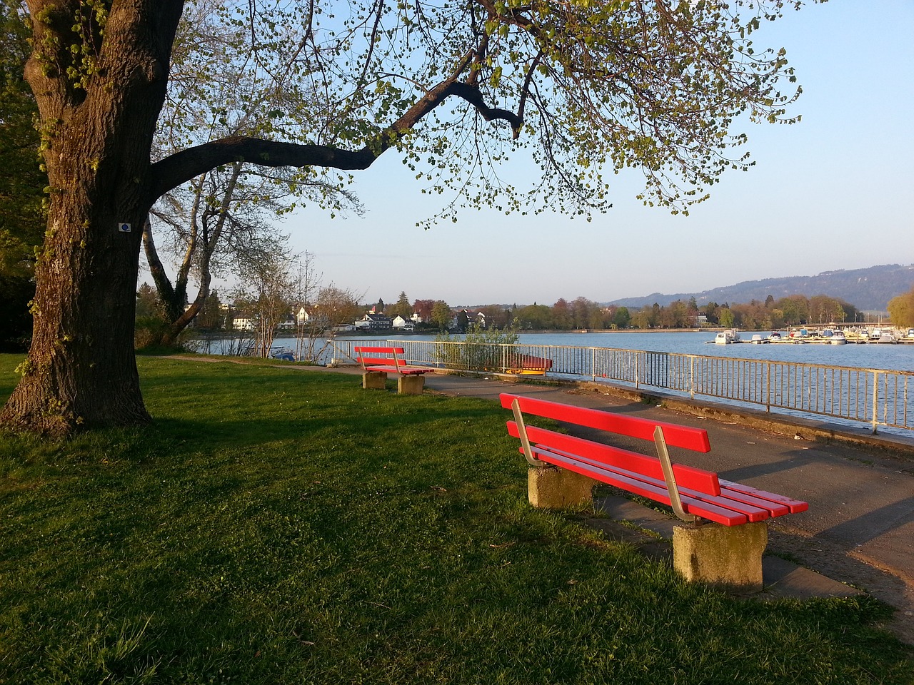 戰與期待 戰與期待